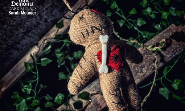 DSC_6677_RVB DSC_6677_RVB