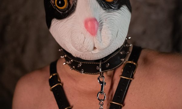 IMG_1812 copie IMG_1812 copie