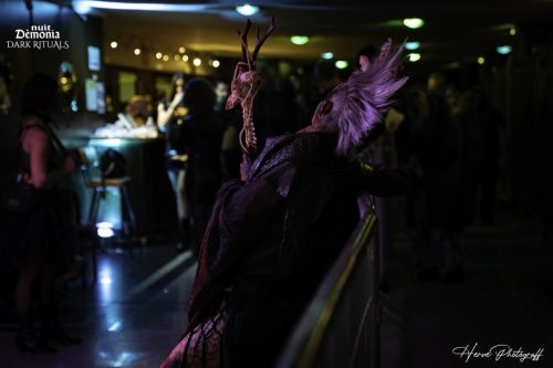 Demonia DARK RITUALS