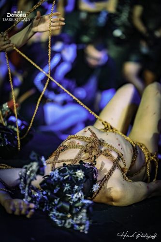 Demonia DARK RITUALS